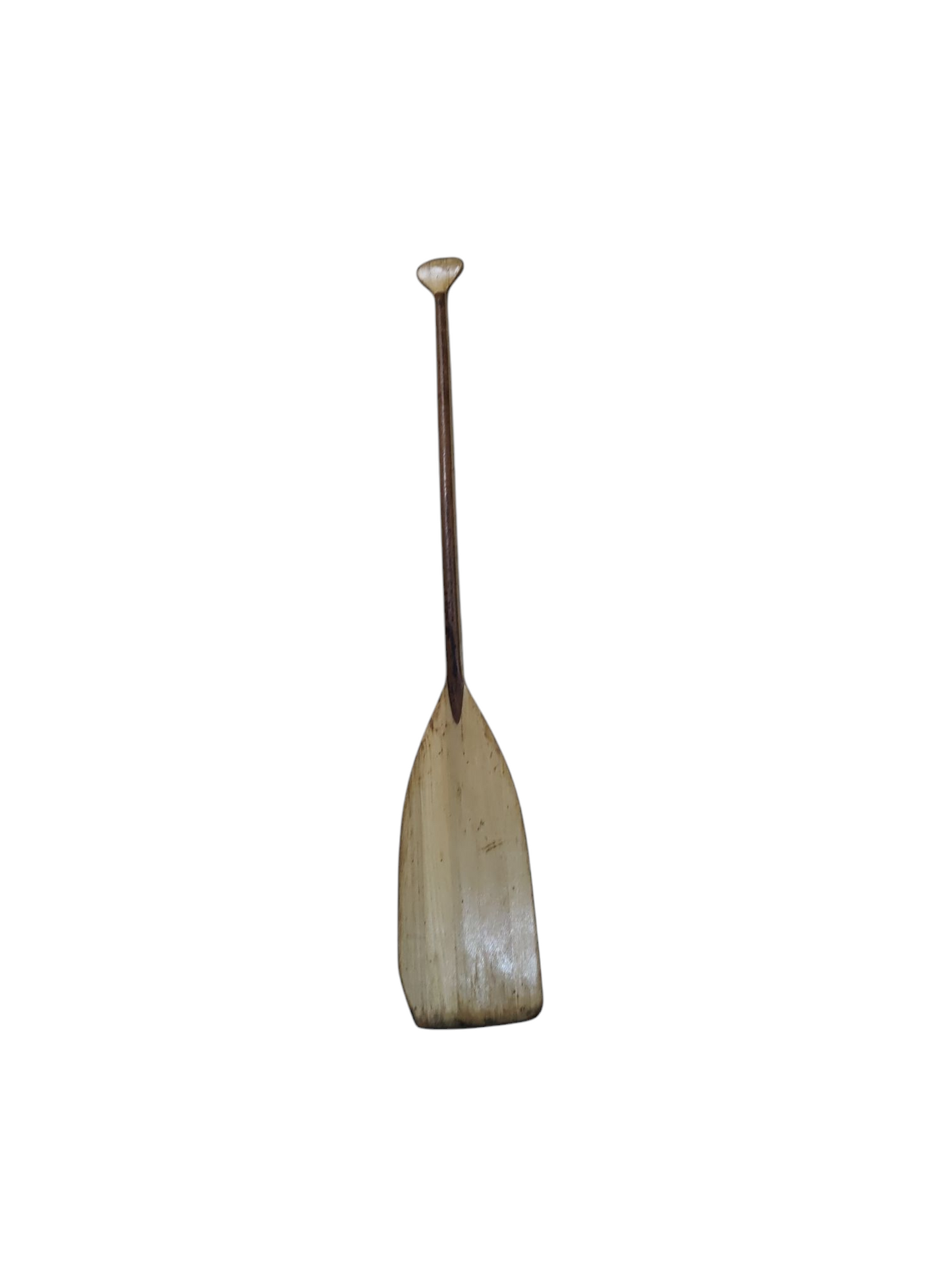 Canoe Rental Sanford