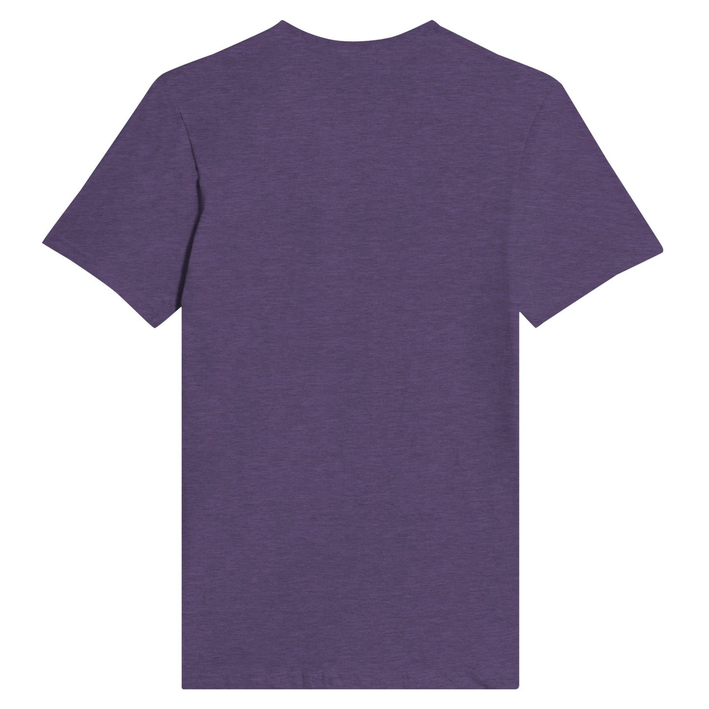 This is a picture of the back side of the purple graphic tee shirt. It's plain.